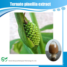 Extracto natural de alta calidad de Ternate Pinellia / polvo del extracto de Rhizoma Pinelliae